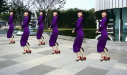 32步广场舞视频大全